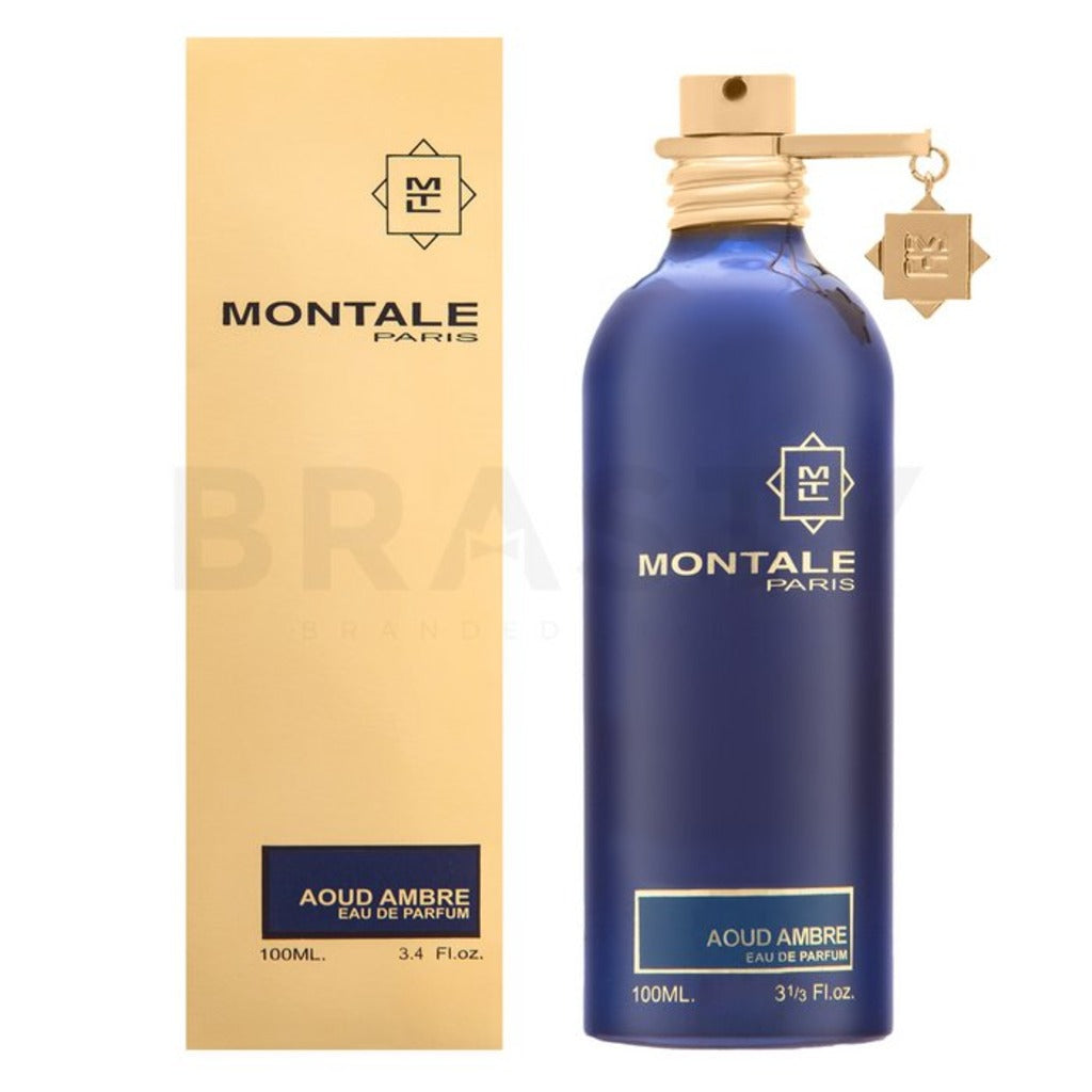 Montale Aoud Ambre Spray 